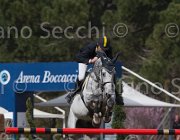 Arioldi R Utile TosTour 2013- S5 7165 : Arezzo Equestrian Centre, Arioldi Roberto, Toscana Tour 2013, Utile, foto di Stefano Secchi ©